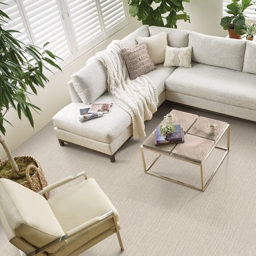 living room with carpet Central Carpet Interiors Beavercreek, OH